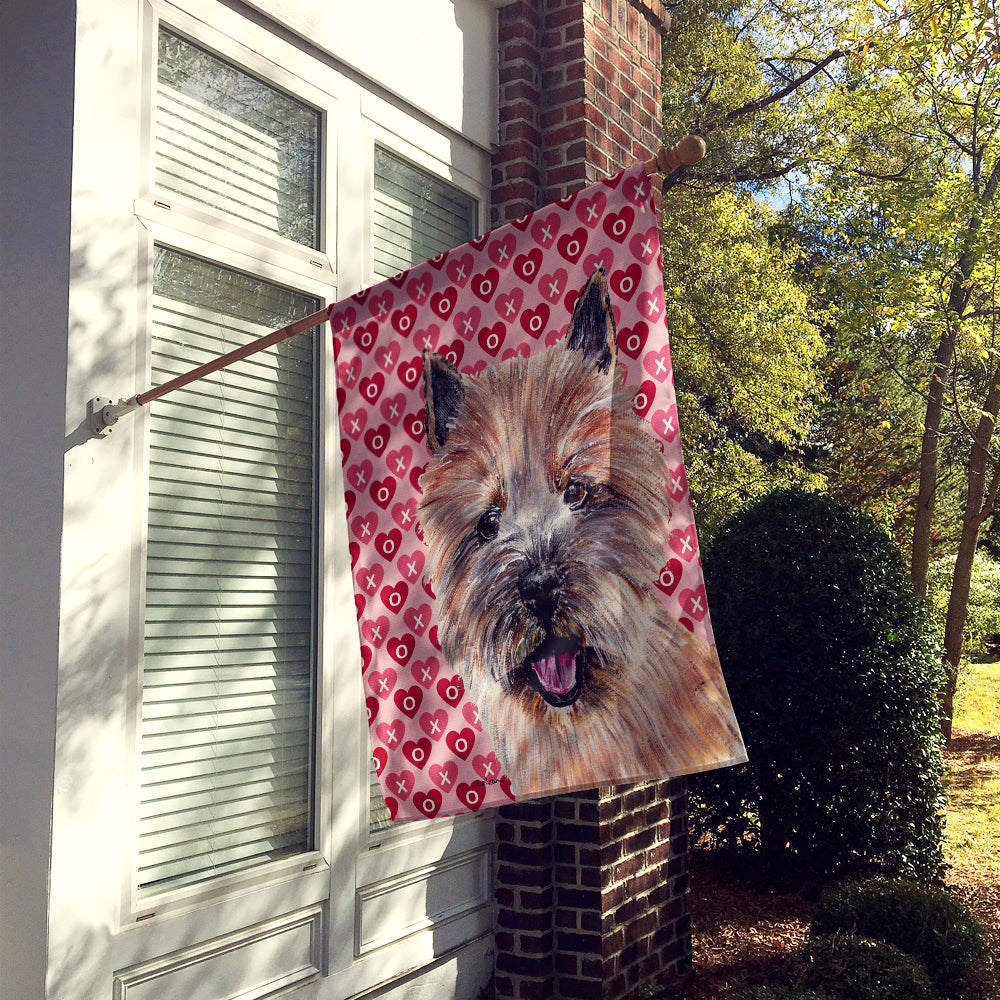 Norwich Terrier Hearts and Love House Flag 28x40 Porch Sleeve Pole Decorative Outside Yard Banner Artwork Wall Hanging, Polyester