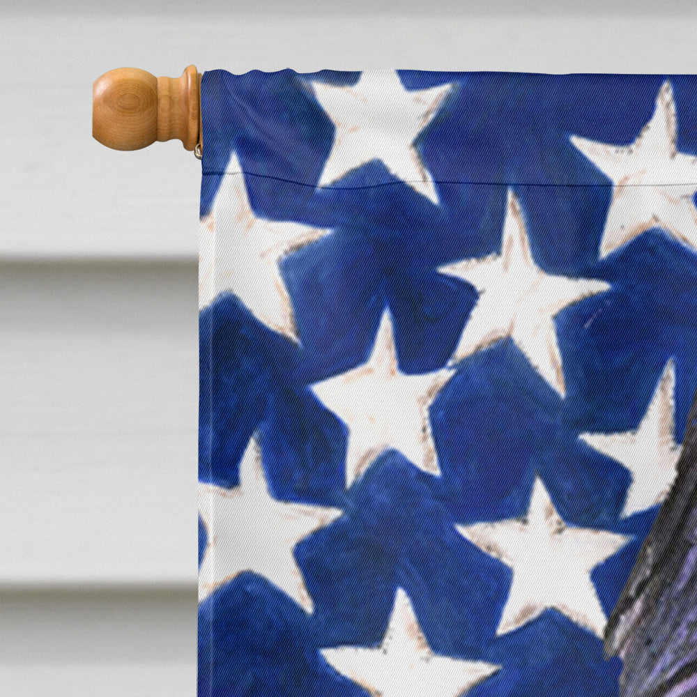 USA American Flag with Briard House Flag 28x40 Porch Sleeve Pole Decorative Outside Yard Banner Artwork Wall Hanging, Polyester