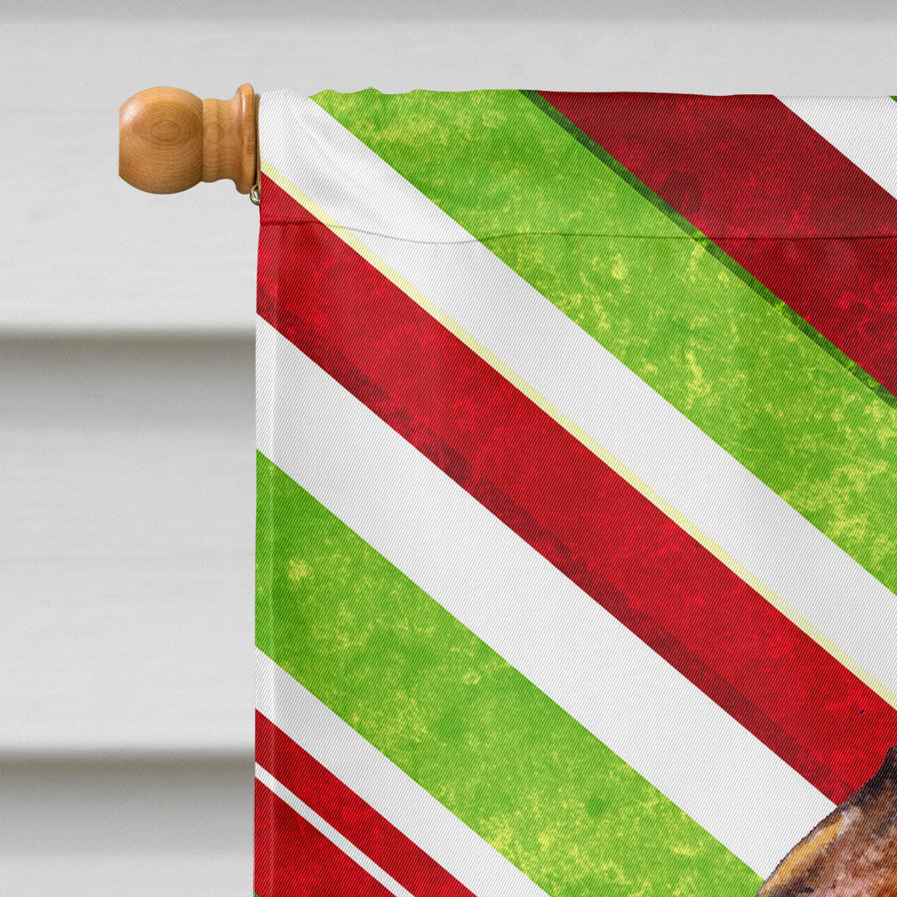 Brussels Griffon Candy Cane Holiday Christmas House Flag 28x40 Porch Sleeve Pole Decorative Outside Yard Banner Artwork Wall Hanging, Polyester
