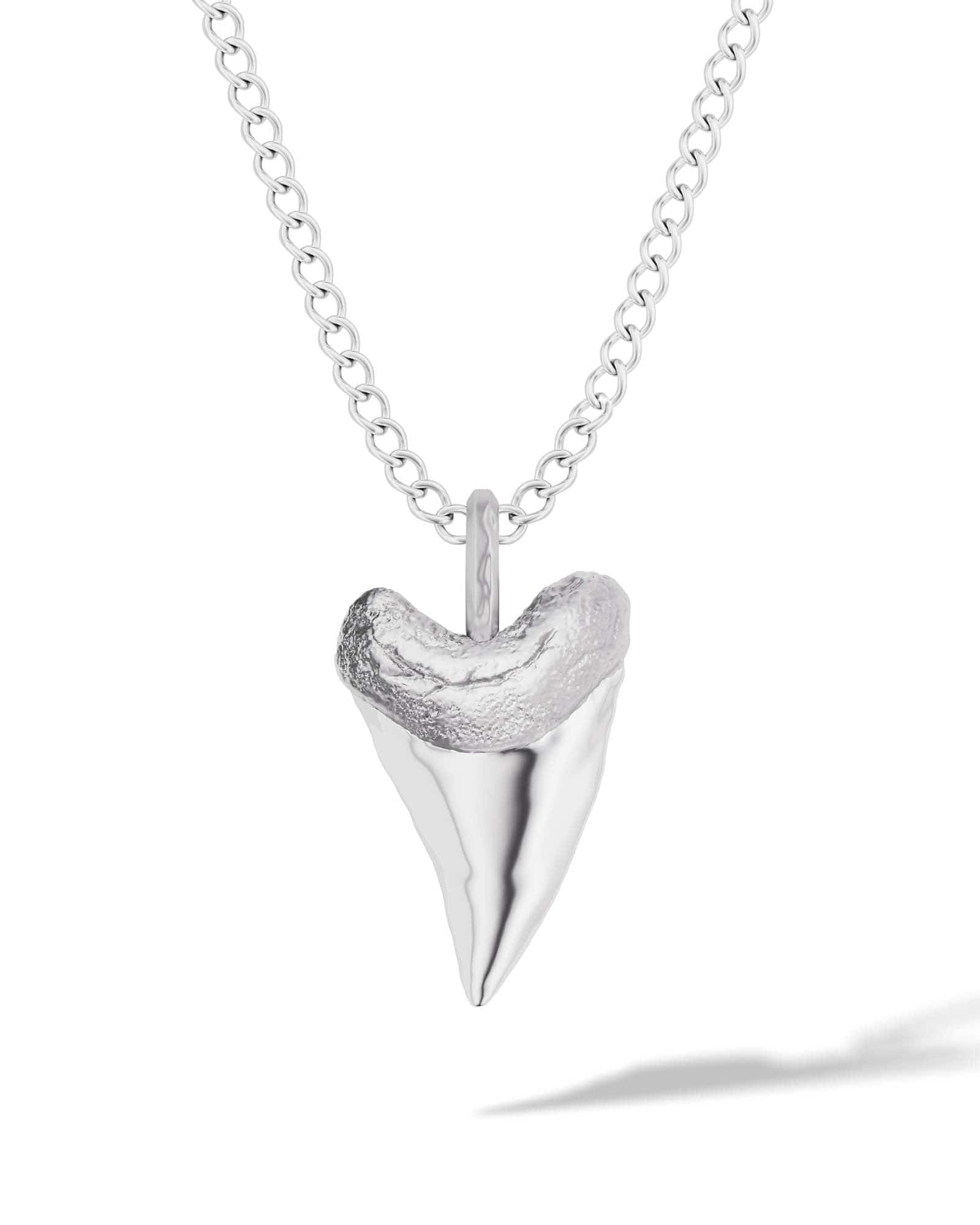 Shark Tooth Pendant Necklace