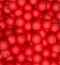 #131 WILD WATERMELON 15MM SOLID (10ct)
