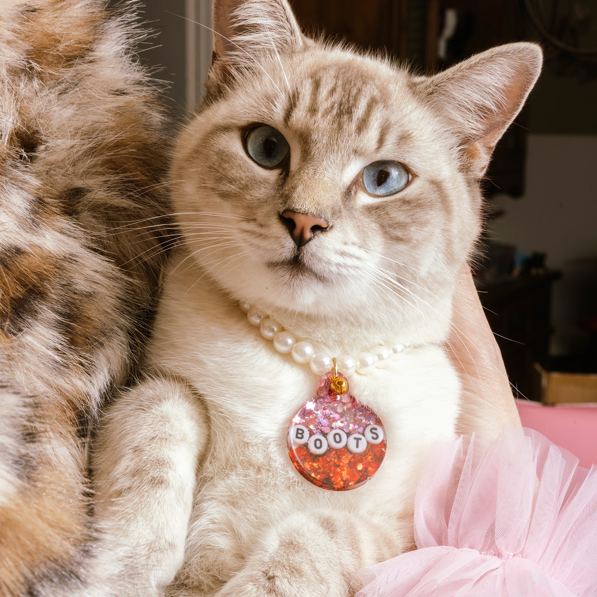 Resin Craft Silicone Tags Mold Pet Collar and Keychain